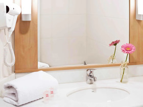 ibis Novo Hamburgo