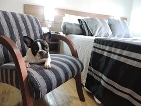 Açores Premium Hotel