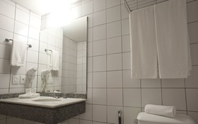 Hotel Continental Business