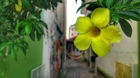 Porto Alegre Eco Hostel