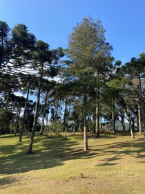 Hotel Villa Verde by Easy Hotéis