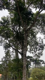 Hotel Villa Verde by Easy Hotéis