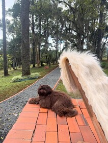 Hotel Villa Verde by Easy Hotéis