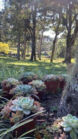 Hotel Villa Verde by Easy Hotéis