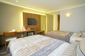 Bourbon Dom Ricardo Aeroporto Curitiba Business