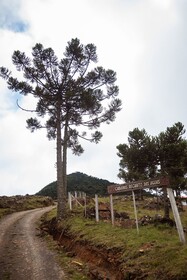 Recanto Das Aguas