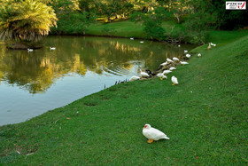 Park Hotel Mantiqueira