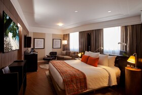 Hotel Radisson Alphaville