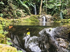 Hotel Fazenda Bosques do Massaguaçu
