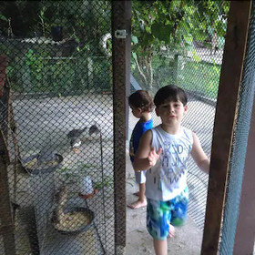 Hotel Fazenda Bosques do Massaguaçu