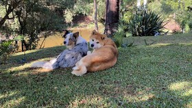 Pousada dos Anjos