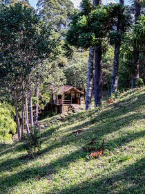 Vila Cosmica