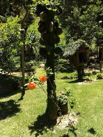 Chácara Gota Do Riacho