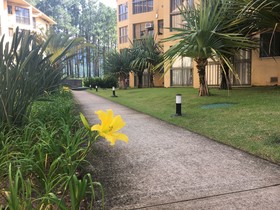 Reserva Ecologica Do Sahy