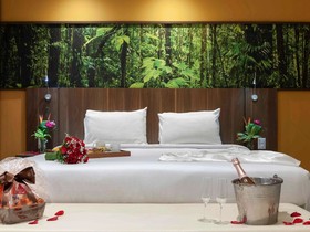 Mercure Rio de Janeiro Nova Iguacu Hotel