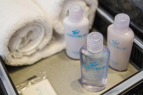 Fratele Business Hotel