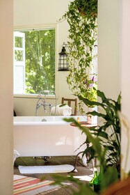 Pousada Ronco Do Bugio