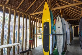 Longboard Paradise Surfclub
