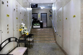 Mz Apartments Djalma II