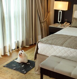 Miramar Hotel by Windsor