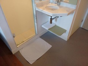 Ibis Budget Sertaozinho