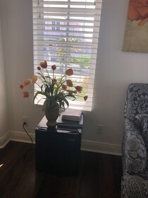 Chub Cay Cabanas