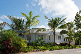 One Palm Hill
