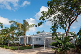 One Palm Hill