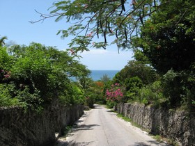 Indigo House by Eleuthera Vacation Rentals