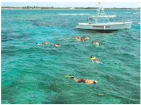Taino Beach Resort & Clubs