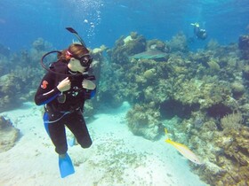 Green Turtle Club Resort & Marina