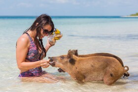 Green Turtle Club Resort & Marina