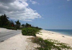 Golden Palm B & B