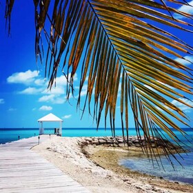 Palm Cay Marina & Beach Club
