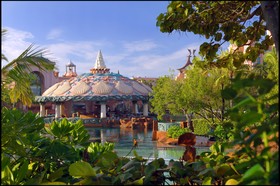 The Coral at Atlantis