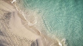 The Ocean Club Bahamas