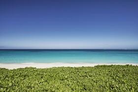 The Ocean Club Bahamas