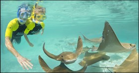 The Royal at Atlantis