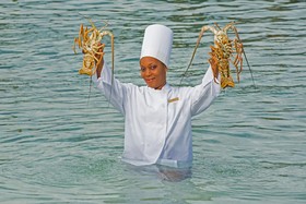 Warwick Paradise Island Bahamas - All Inclusive - Adults Only