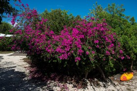 Touch of Class by Eleuthera Vacation Rentals