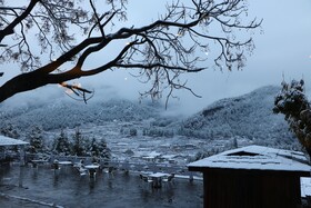 Tiger's Nest Resort