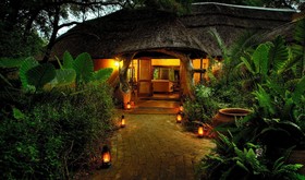 Royal Tree Lodge