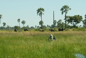 Wilderness Vumbura Plains