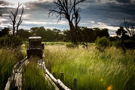 Wilderness Vumbura Plains