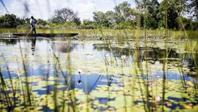 Wilderness Vumbura Plains