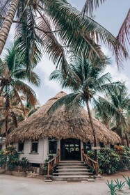 Thatch Caye, a Muy'Ono Resort