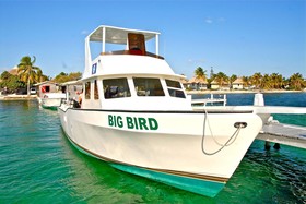 Blackbird Caye Resort