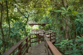 Sweet Songs Jungle Lodge, a Muy'Ono Resort