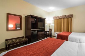 Comfort Inn & Suites Airport