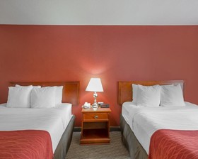Comfort Inn & Suites South